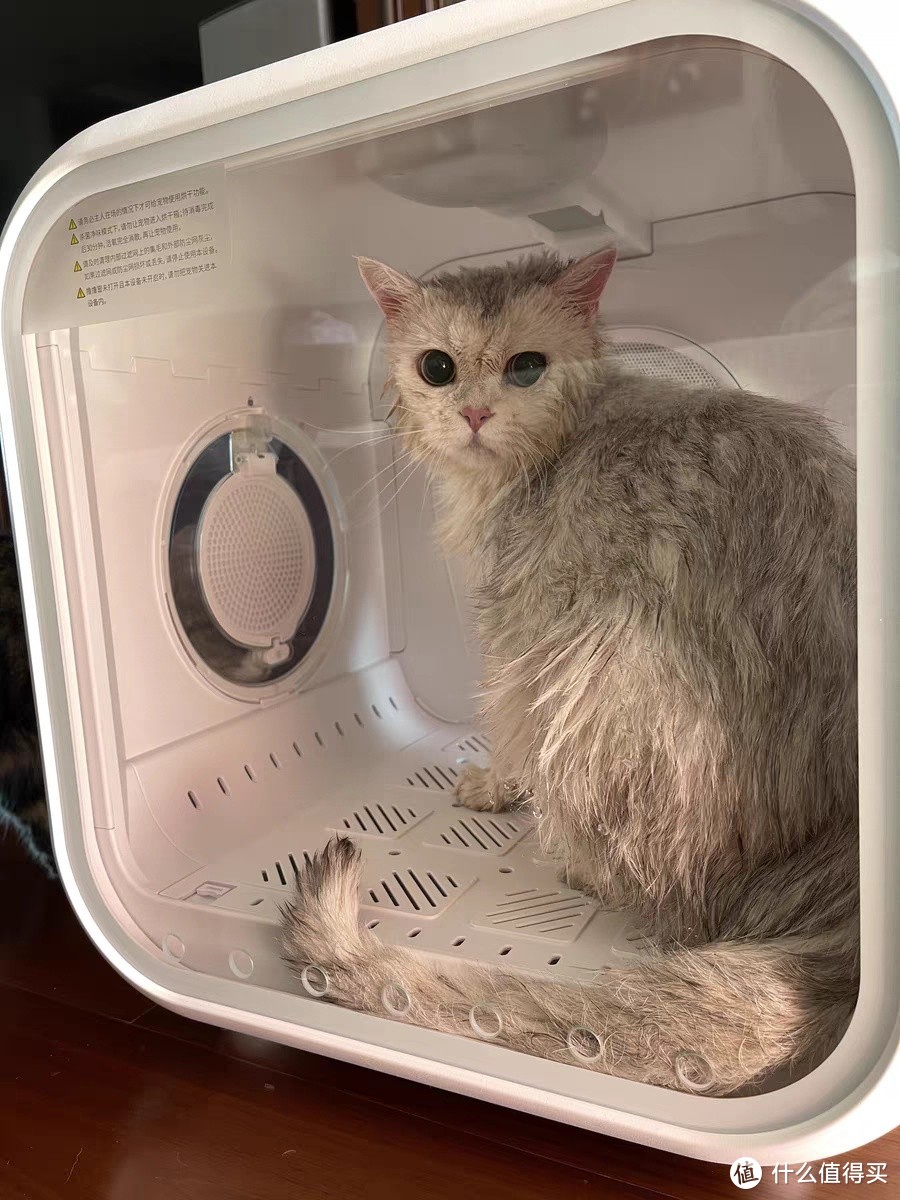 霍曼宠物烘干箱猫咪自动吹干机家用洗澡吹毛烘干神器吹风吹水狗狗