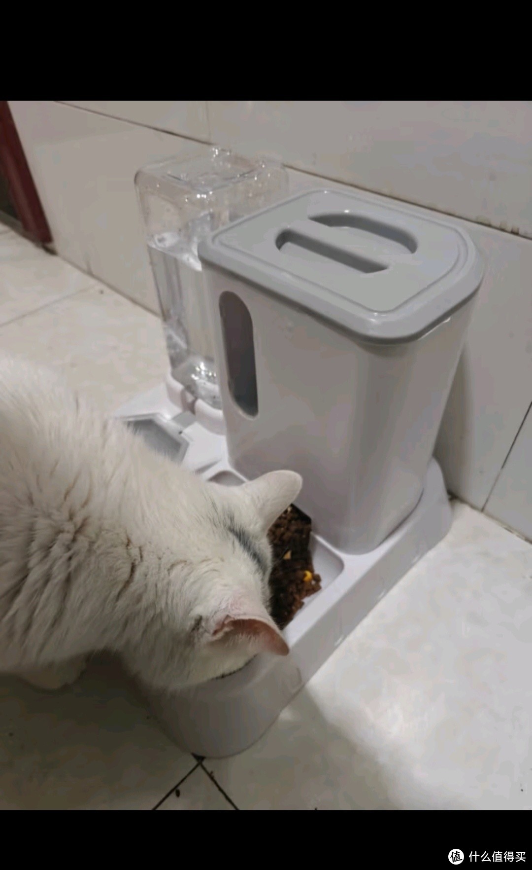 光多拉猫咪自动喂食器猫碗猫食盆饮水机狗吃饭喝水投食猫粮器宠物用品