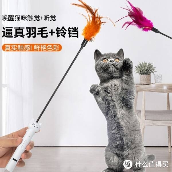 华元宠具——猫咪的智能玩伴
