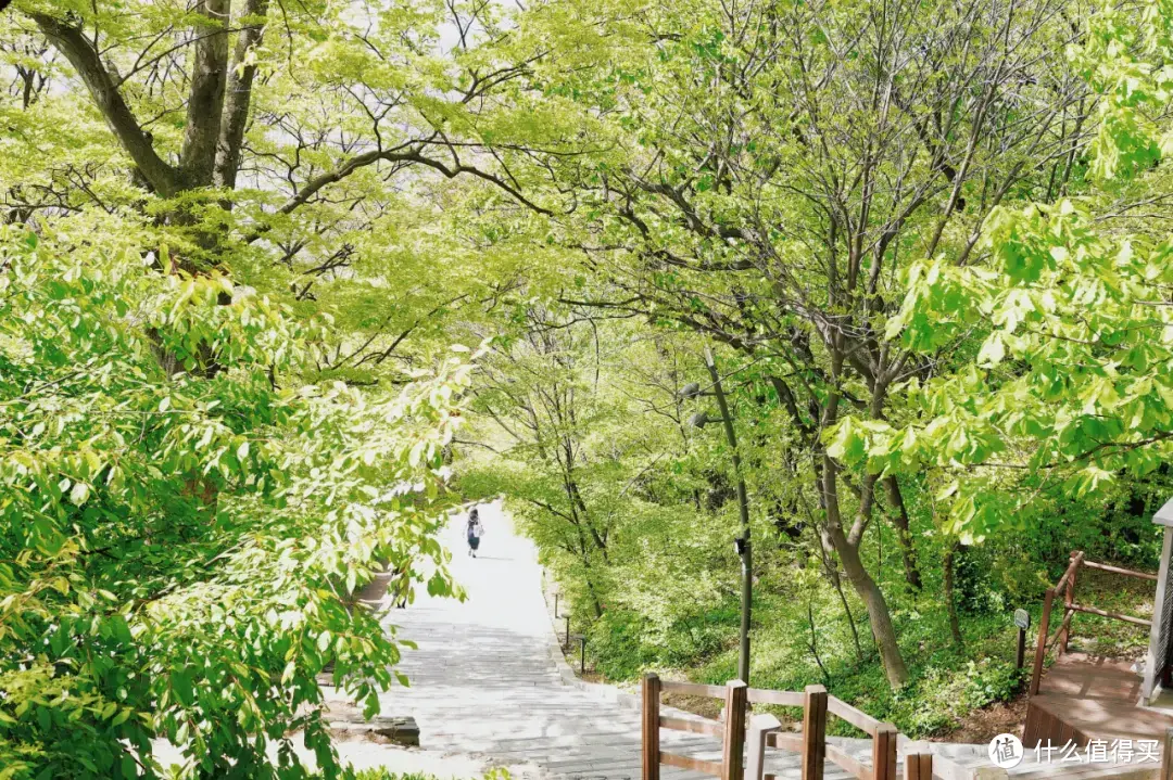 费脚底板的城市，很需要这份省步数攻略！