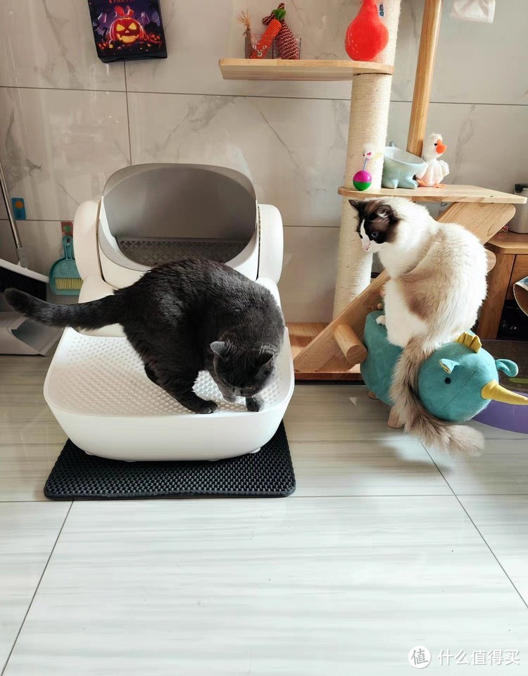 宜宝智能全自动猫砂盆开放式电动清理猫厕所超大号铲屎机猫咪用品