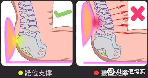 拯救打工人的腰背——工学至尊i5人体工学椅使用体验