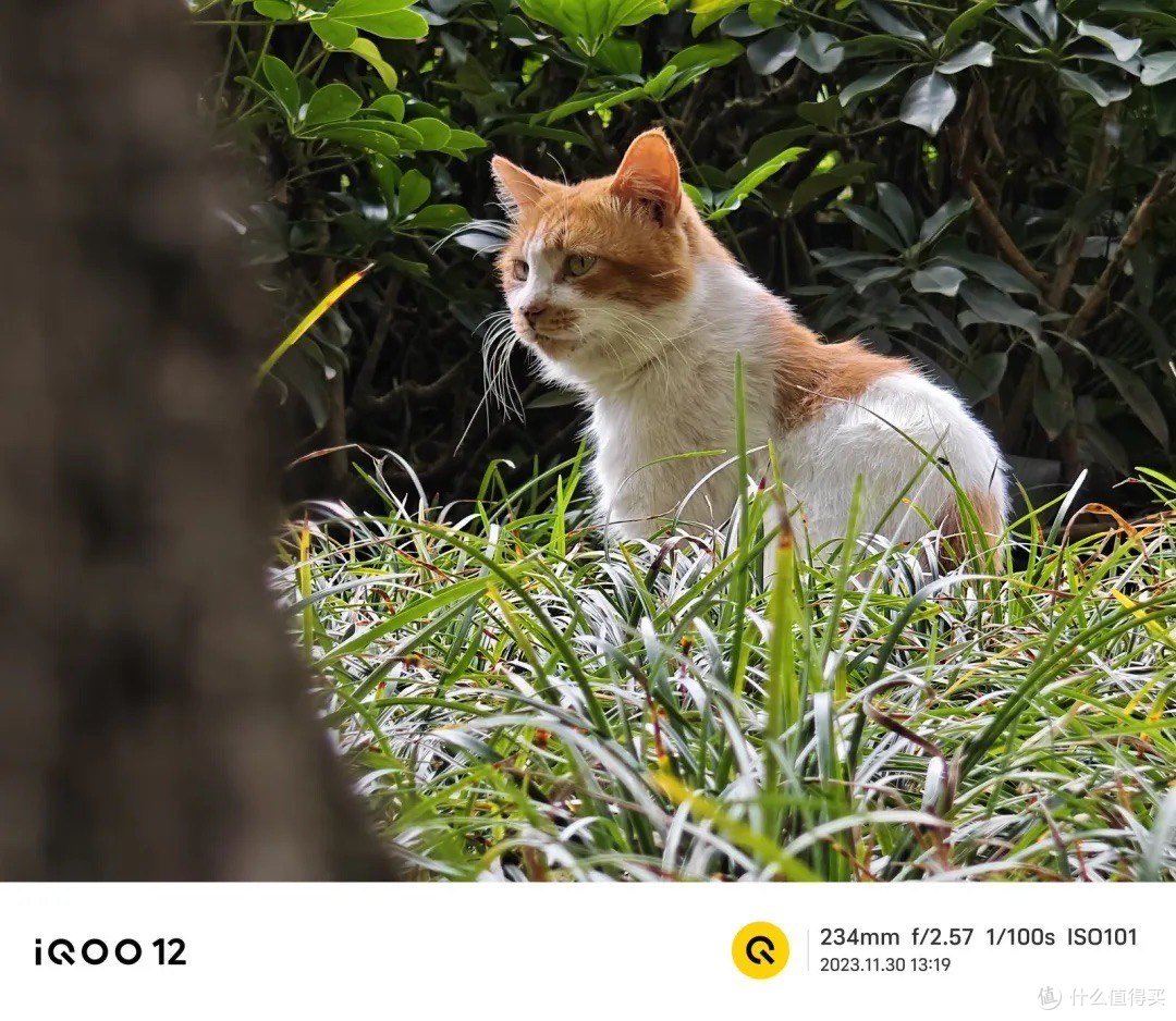 全球首发新款手机今日亮相,技术革新引人瞩目