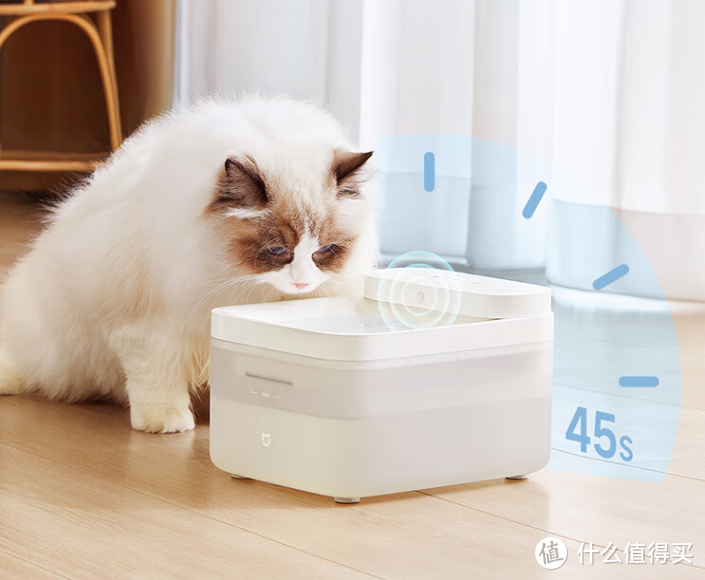 养猫必备产品攻略：打造猫咪舒适生活家园