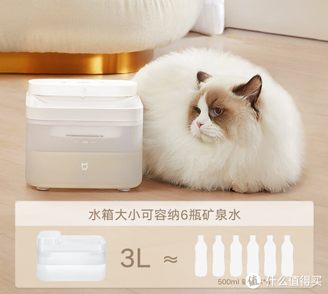 养猫必备产品攻略：打造猫咪舒适生活家园