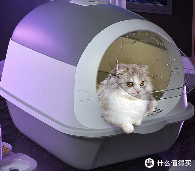 养猫必备产品攻略：打造猫咪舒适生活家园