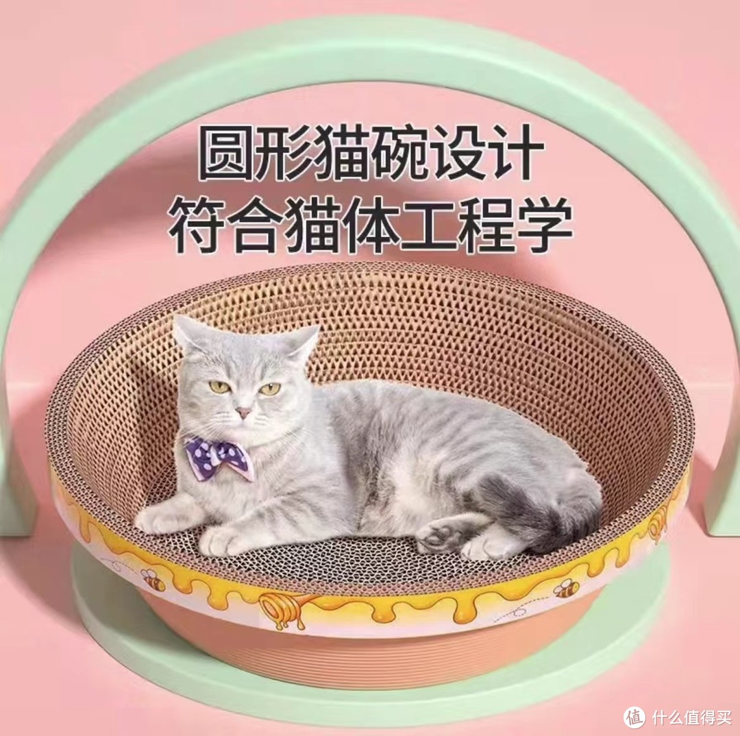 喵爪握手：养猫指南与爱心选购