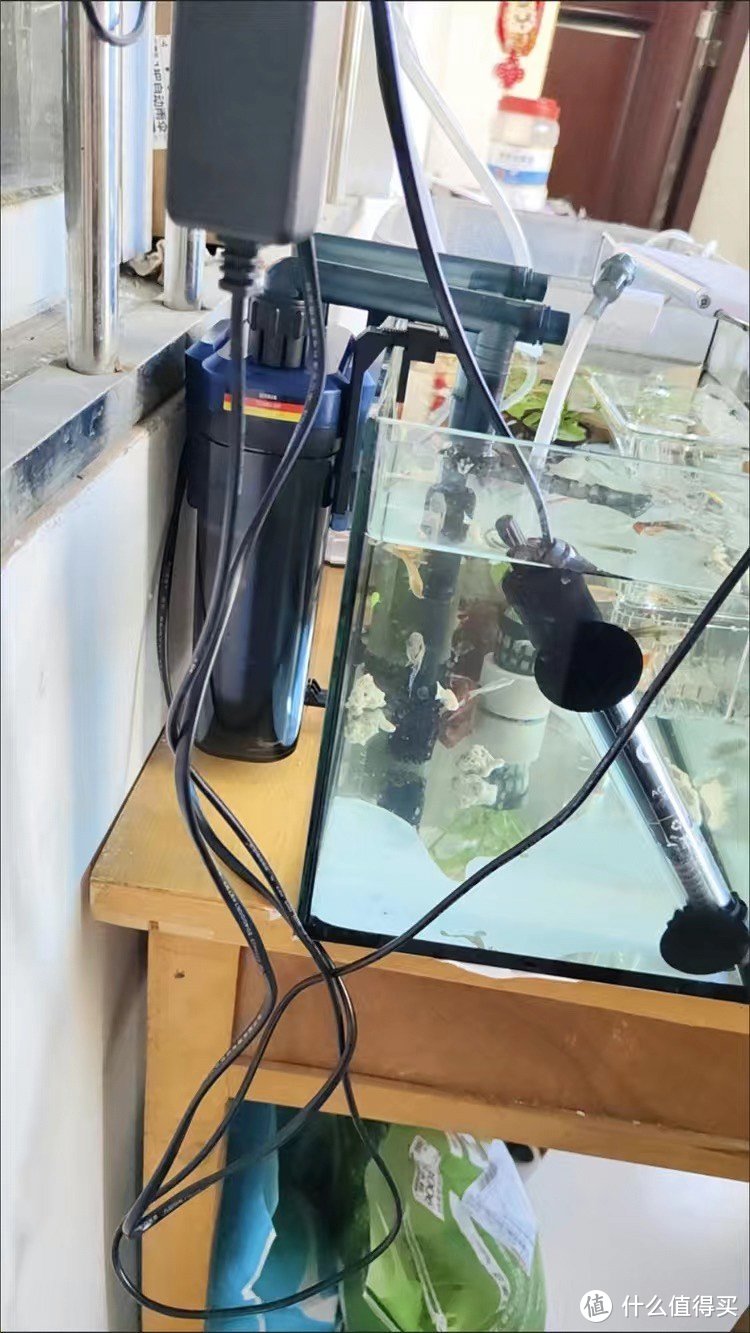 德国安彩静音草缸鱼缸增氧过滤器桶净水循环三合一免换水壁挂桶