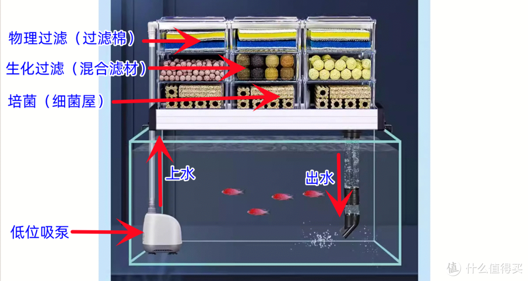 各个尺寸的鱼缸该如何选择合适的过滤系统，总有适合你的