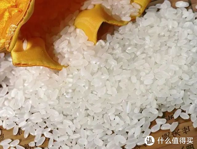 什么大米好吃排行榜，哪种大米最受欢迎？