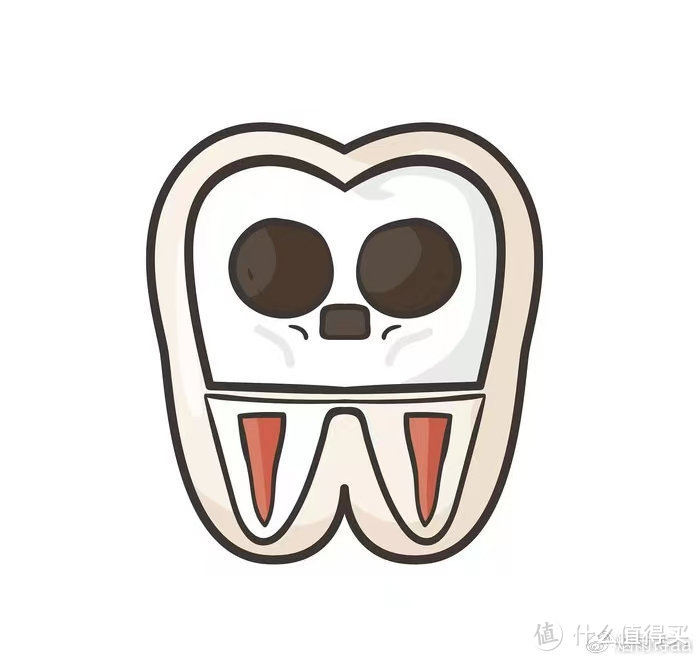 牙齿整形能用冲牙器吗？警惕3种缺点禁忌！