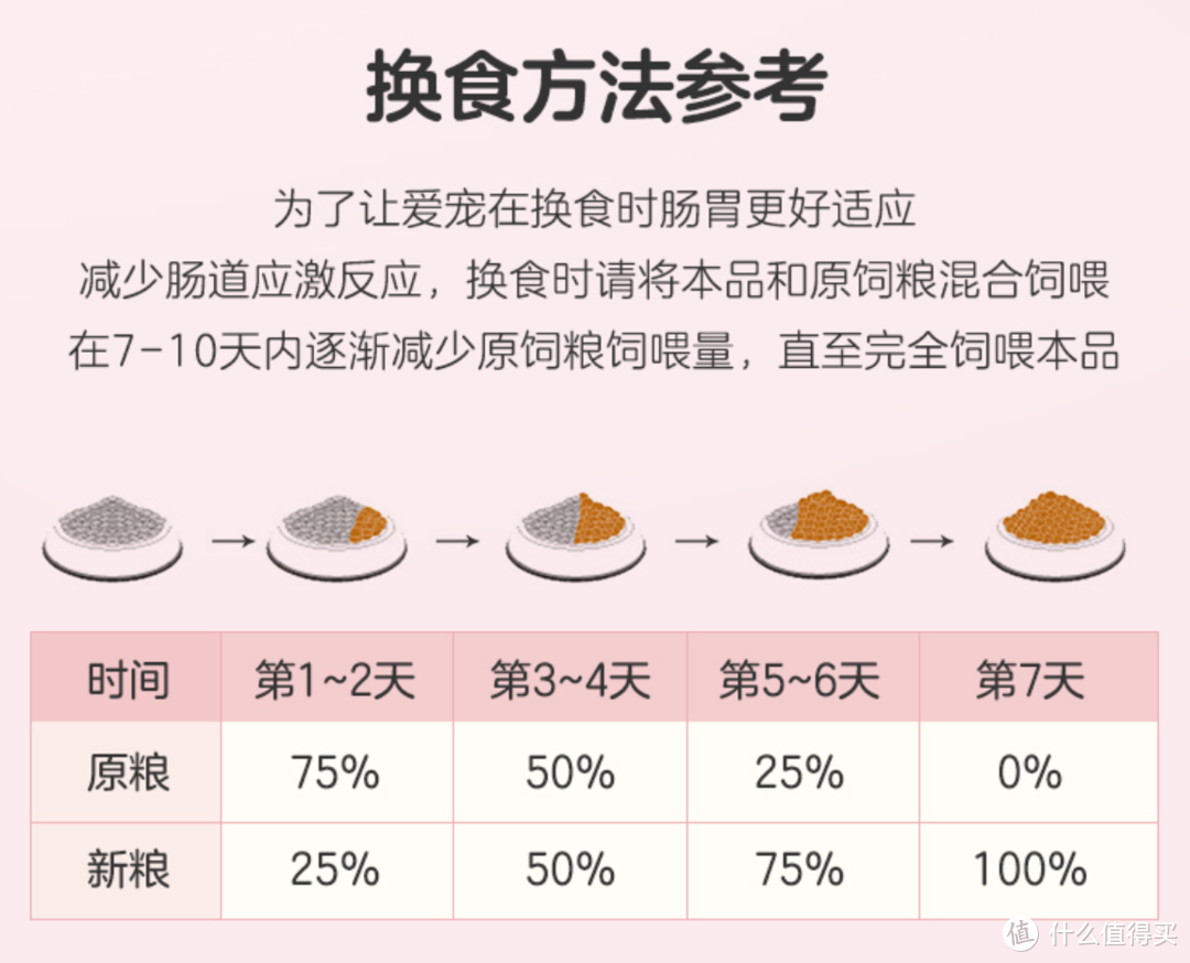 城市里的暖心角落：流浪猫的爱心喂食！