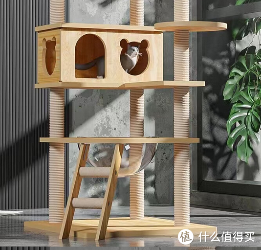 打造猫咪乐园，猫爬架选购有妙招！