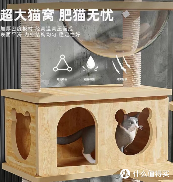 打造猫咪乐园，猫爬架选购有妙招！