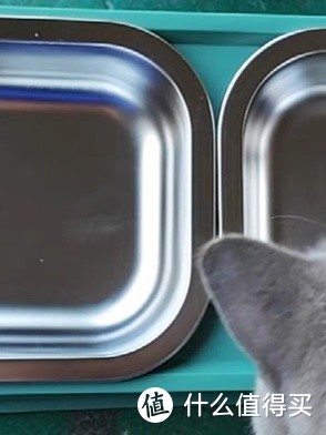 宠物不锈钢双碗猫碗狗碗——防打翻猫咪用品的优质选择