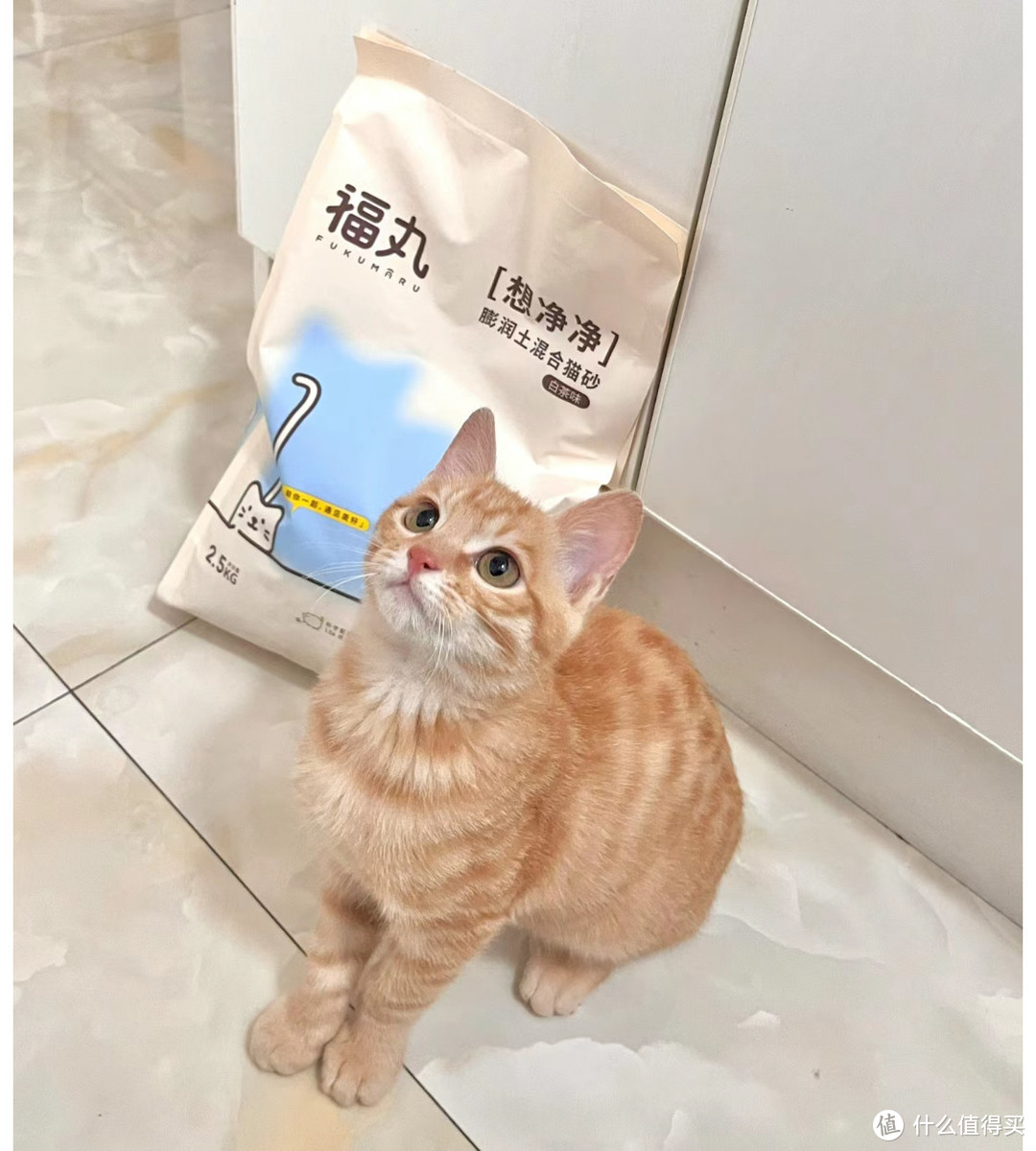 推荐一款好用的豆腐猫砂