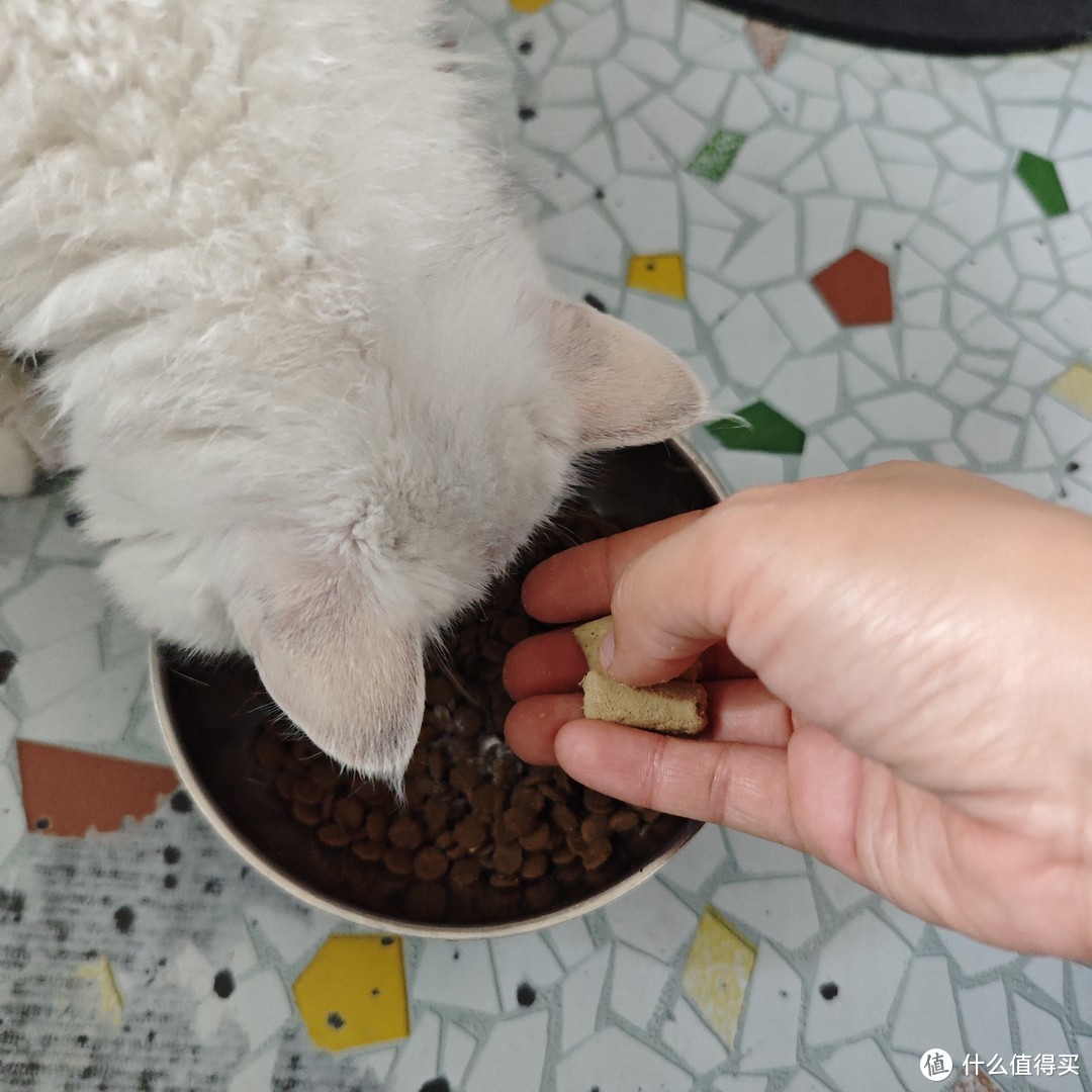 冻干盛宴！七彩缦猫零食，让爱宠更健康！