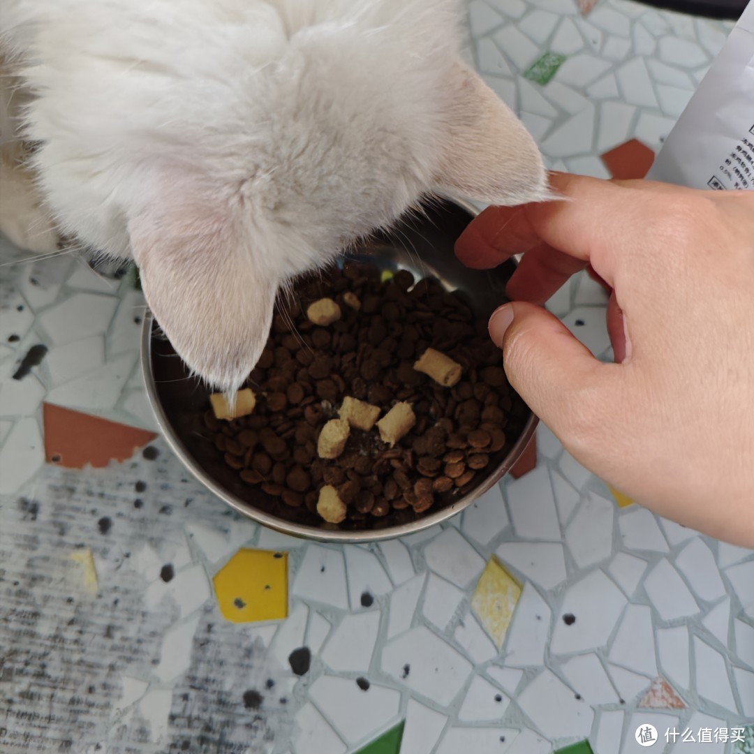 冻干盛宴！七彩缦猫零食，让爱宠更健康！