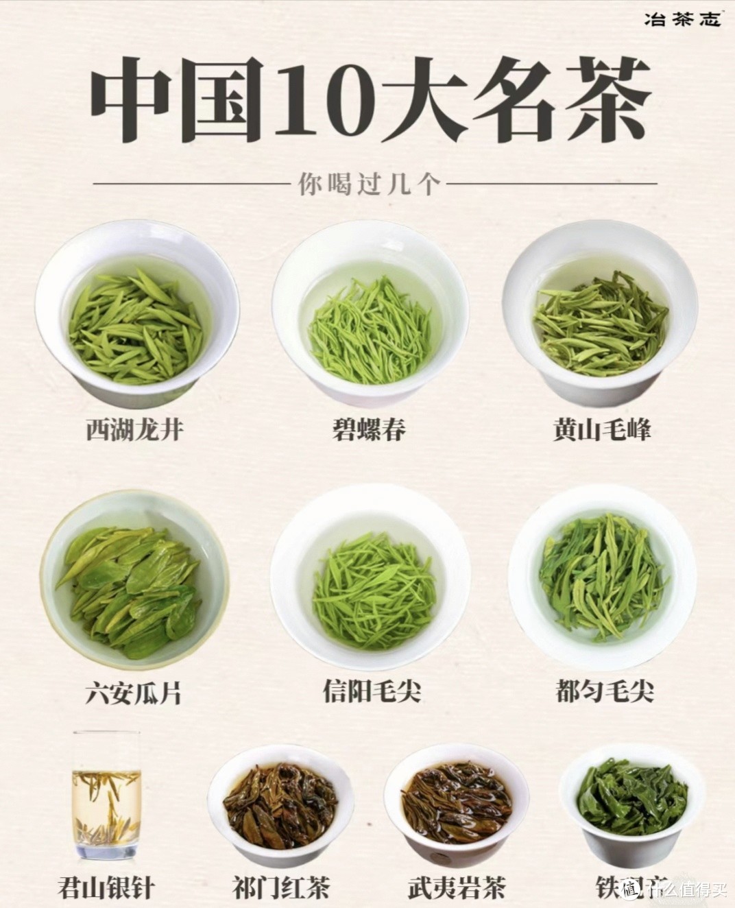 🔥老茶客都知道的茶知识💯中国十大名茶🍵你可以没喝过，但不能不知道的10大名茶