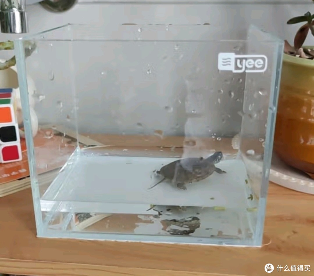 家中小型生态鱼缸首选，YEE金晶超白鱼缸等你来选！