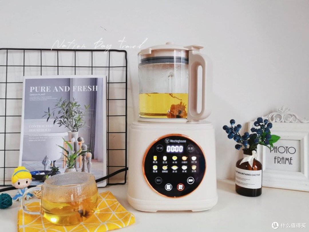 破壁机哪个牌子好？超实用！破壁机推荐终极指南