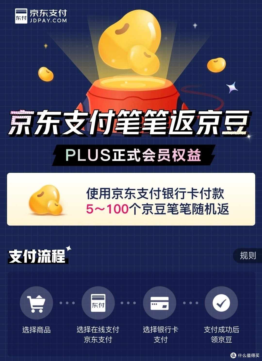 京东plus会员,尊享购物,特权无忧!