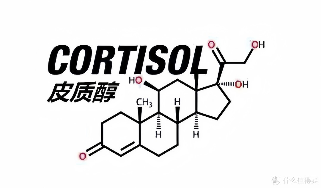 你有皮质醇焦虑吗？