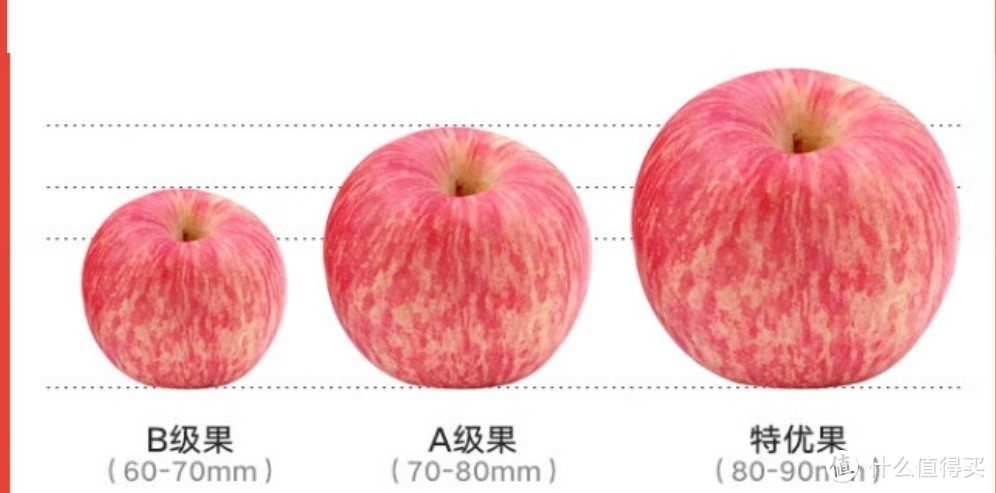 12.5块山东红富士苹果（5斤）🍎，值得入手吗？