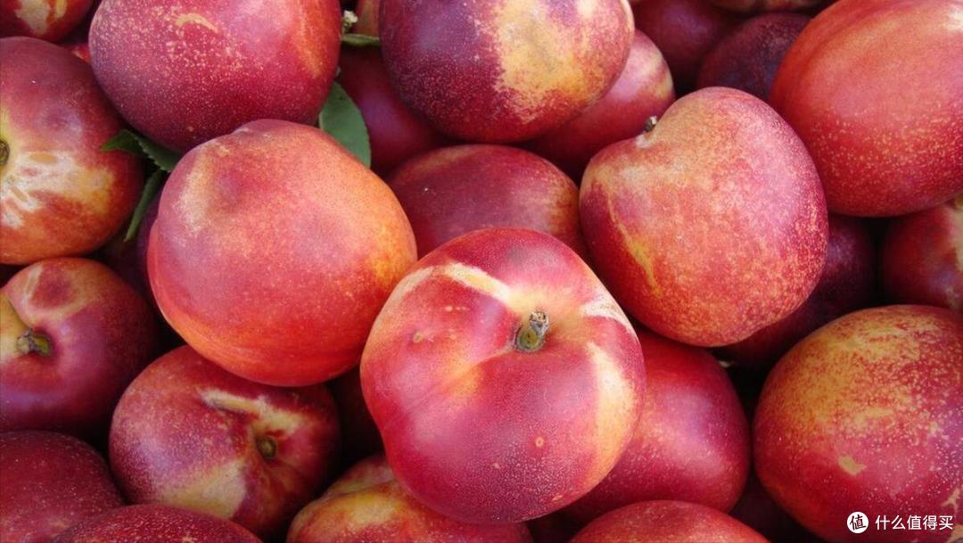 油桃品种的大致分类……今天,咱们要讲的是桃子的一个变种,也就是提早