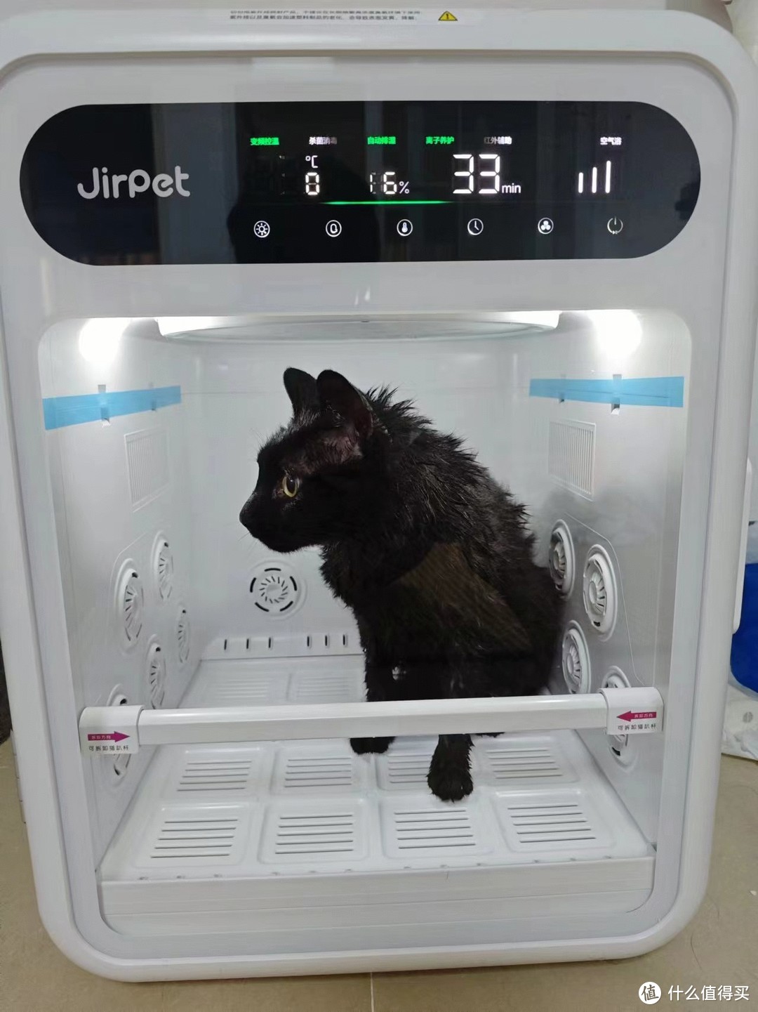 一键解决宠洗难题：Jirpet高效静音宠物烘干箱，打造完美毛发护理体验！