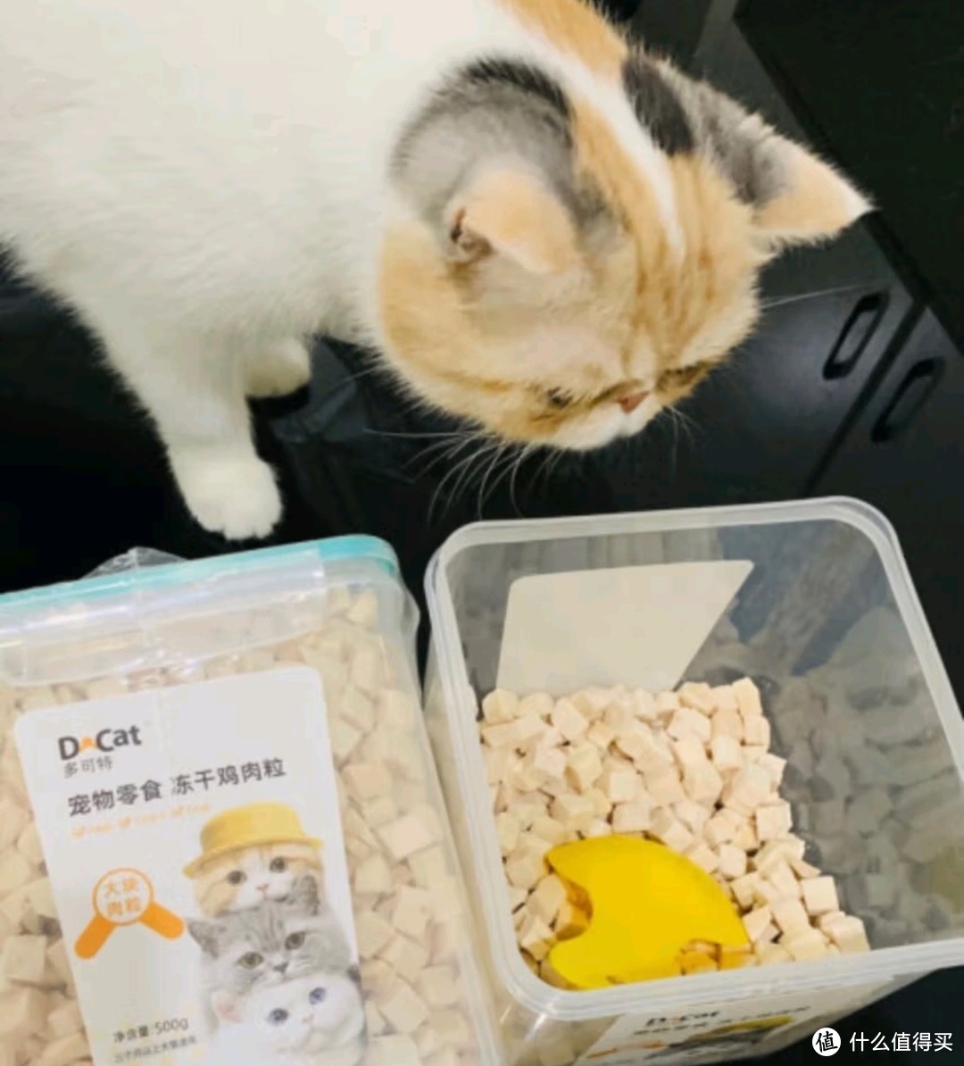 多可特（D-cat）冻干猫零食鸡胸肉粒冻干桶——猫咪的味蕾盛宴