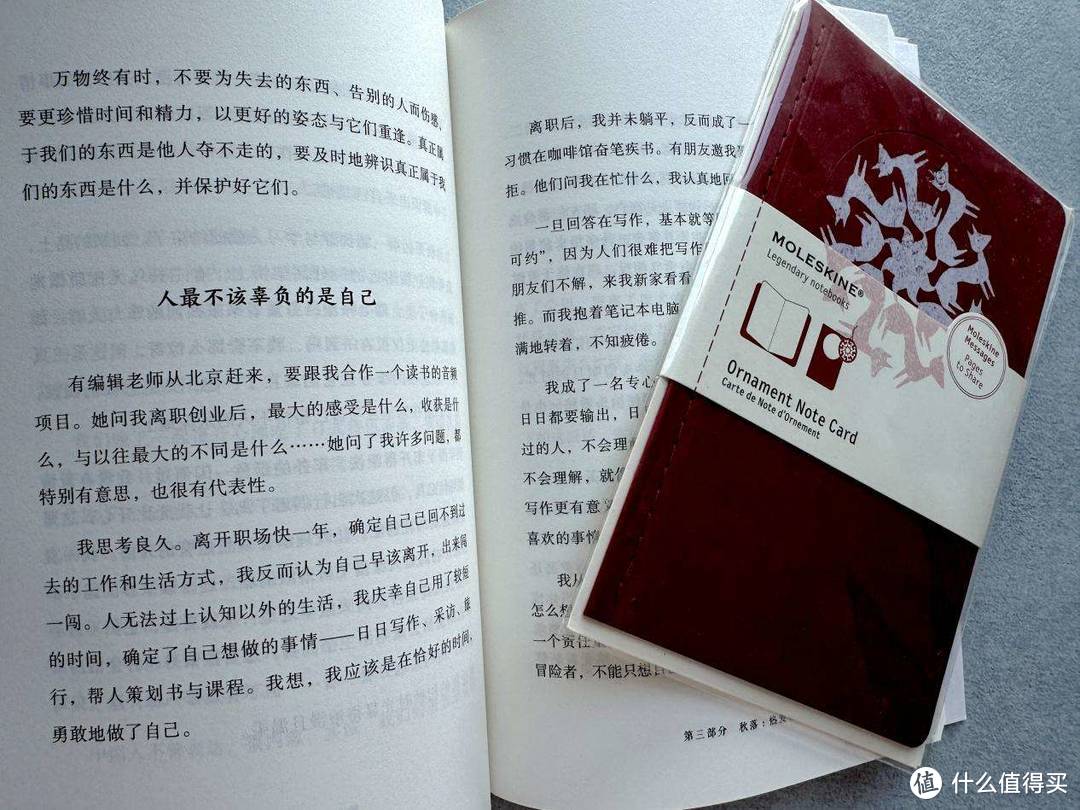 做一颗种子，如同韦娜老师「慢慢长出新的自己」充满能量，温暖又美好