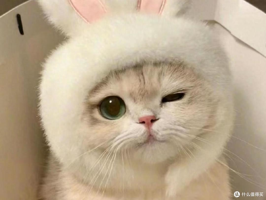 多猫家庭如何选择自动猫砂盆?618必入好用自动猫砂盆来了!