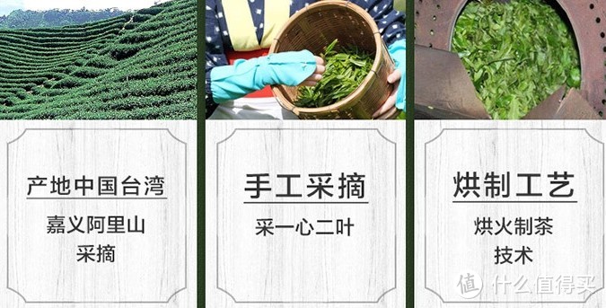 618种草--金萱乌龙茶