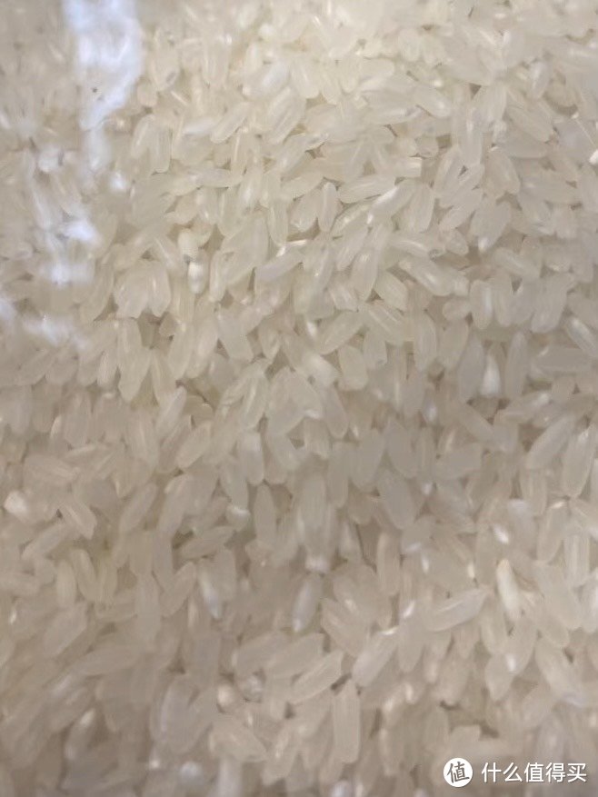 十月稻田五常大米"：米香四溢的秘密！
