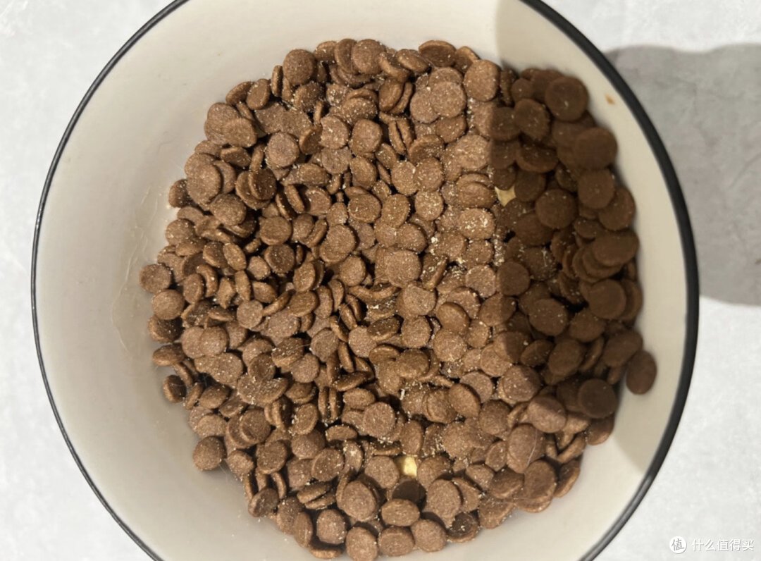 豆柴猫粮怎么样