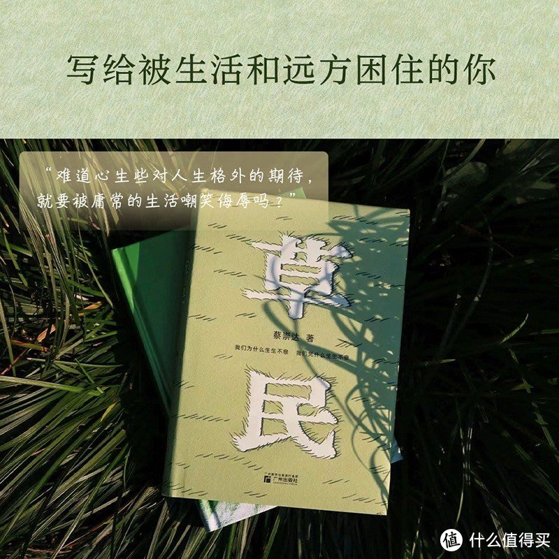 关于新华文轩送帆布袋活动以及蔡崇达的作品《草民》的详细介绍如下：