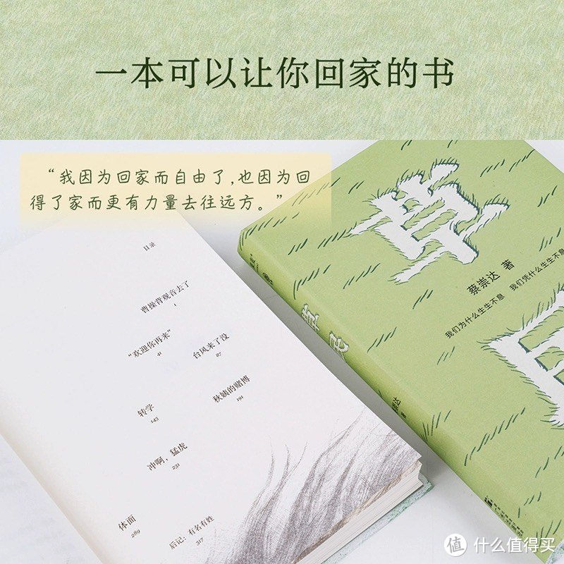 关于新华文轩送帆布袋活动以及蔡崇达的作品《草民》的详细介绍如下：