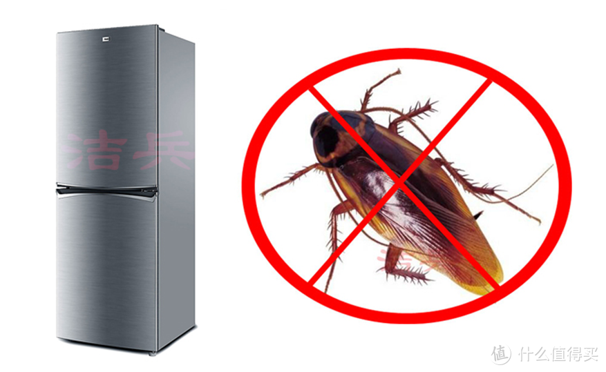 冰箱有蟑螂怎么清理