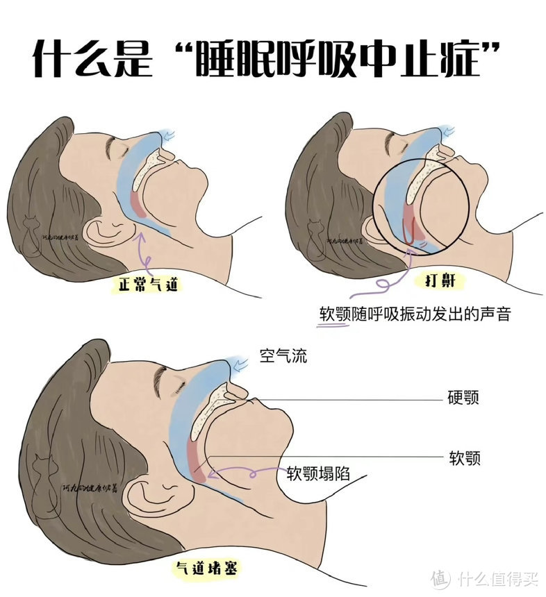 再不止鼾 人就快嘎了！父情节送礼就送健康 乐普呼吸机静享系列实测 老爸说我买的好！