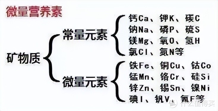 水越纯净越好吗？