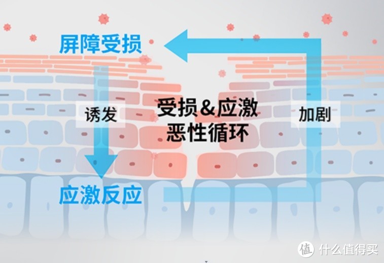 都说贴片面膜鸡肋，为什么还有大品牌在做？理肤泉B5 Pro面膜告诉你，什么是高回报率的面膜