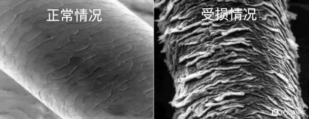 高端吹风机选购攻略 | 戴森、松下和原里吹风机哪个牌子好？