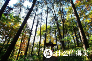 龙门秘境自驾游玩指南丨山中夏日长，一起来“溪”~