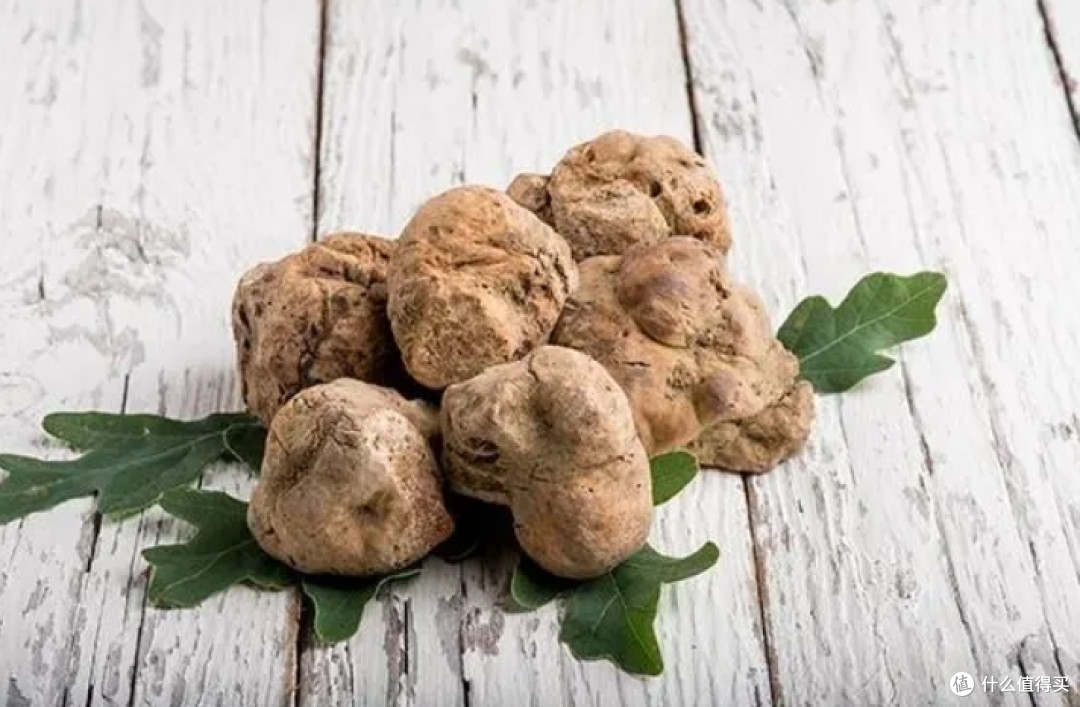 控油洗发水排行榜前10名,超火的网红控油洗发水真实测评数据大公开!谁是“去油王”?