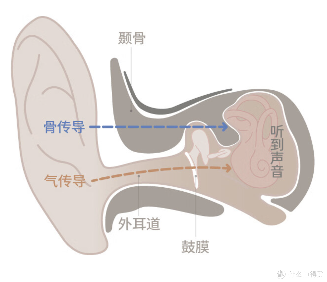 戴助听器是怎样一种体验？