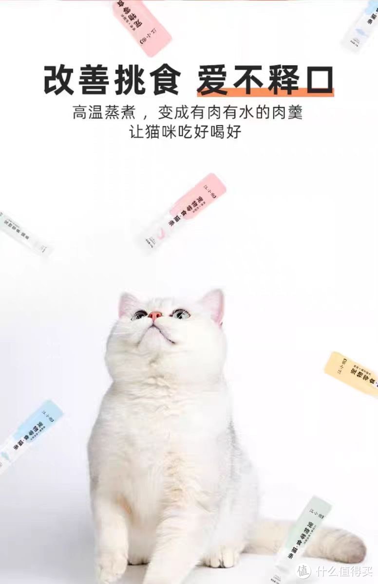 猫条