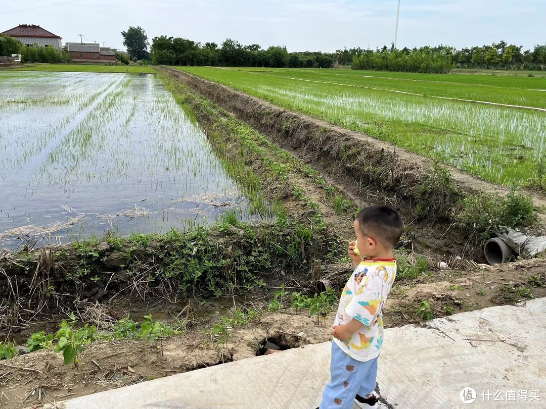 夏日反向遛娃松弛感——乡村小短腿一日游记