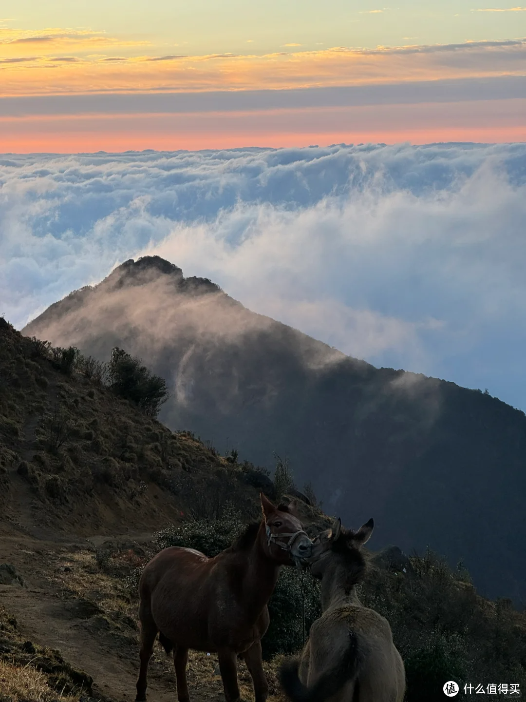 别去挤黄山了，来看看这个道教仙山吧！