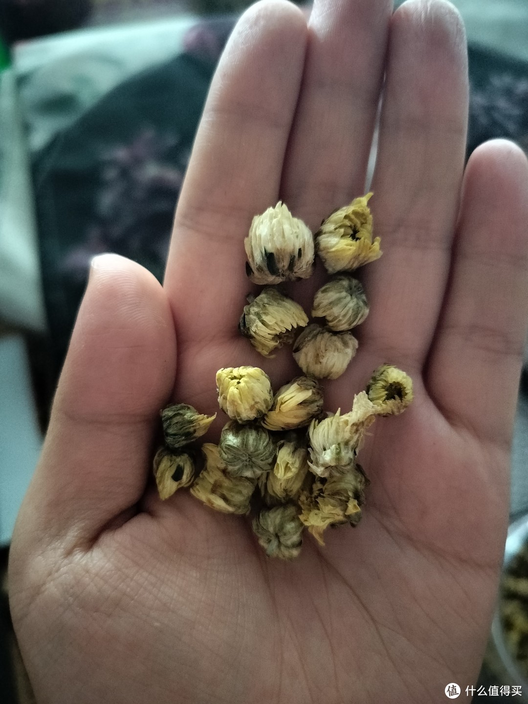 荔枝菊花茉莉花茶饮料